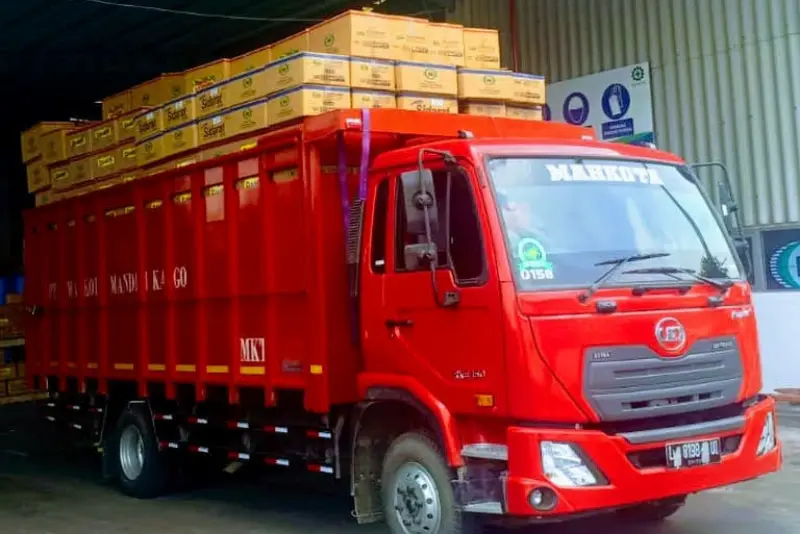 jasa Ekspedisi kargo Surabaya Kalimantan